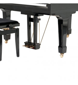 Steiner Grand Piano GP-152E - 1