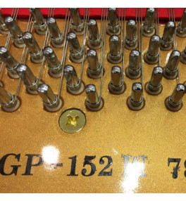 Steiner Grand Piano GP-152W - 2