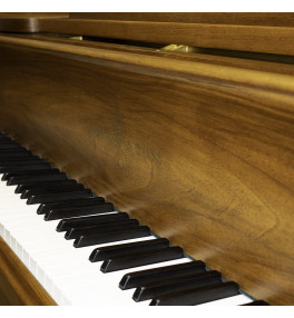 Steinway & Sons Grand Piano O-180 - 4