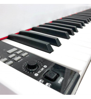 Steiner Digital Piano DP-61 - 1