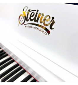 Steiner Digital Piano DP-61 - 3