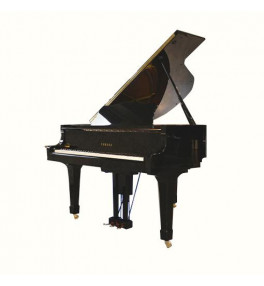 Yamaha Grand Piano G1E