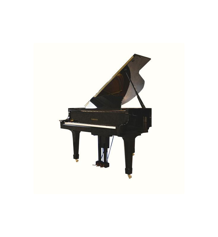Yamaha Grand Piano G1E