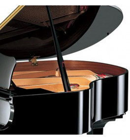 Yamaha Grand Piano G2E - 4