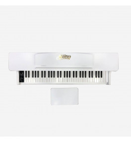 Steiner Digital Piano DP-61 - 5