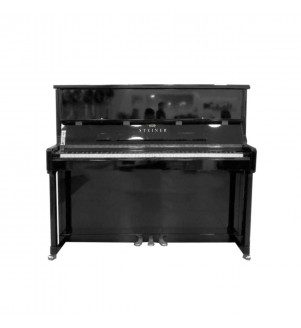 Upright Digital Piano DP-500