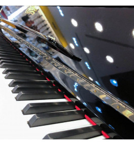 Upright Digital Piano DP-500 - 3