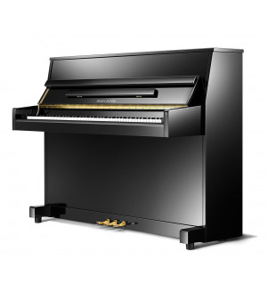 Pearl River Upright Piano UP115M5  Black