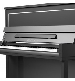 Pearl River Upright Piano UP121S Black - 2