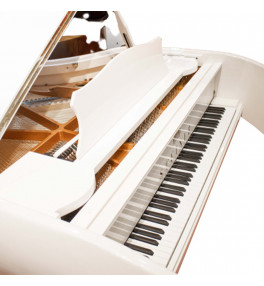 Steiner Car Grand Piano Self Playing MCP-1 White - 3
