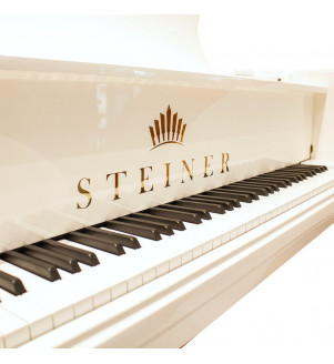 Steiner Car Grand Piano Self Playing MCP-1 White - 5