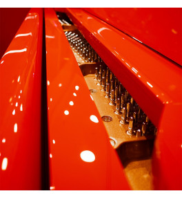 Steiner Car Grand Piano Self Playing MCP-1 Red - 4