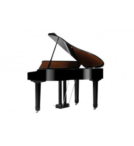 Steiner Digital Grand Piano MG10B  Black - 1