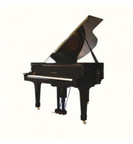 Yamaha Grand Piano G1E - 5