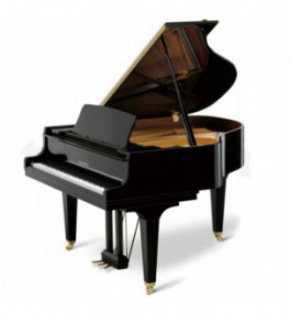 Kawai Grand Piano GX1 - 5