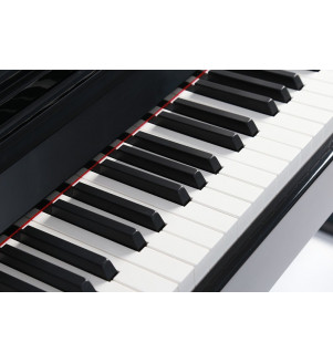 Steiner Digital Piano DUP 800 - 3