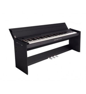 Pearl River PRK-300 Digital Piano â€“ Black