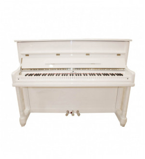 Steiner Upright Piano UP-110E
