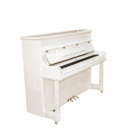 Steiner Upright Piano UP-110E