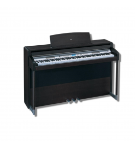Korg Digital Piano - C550