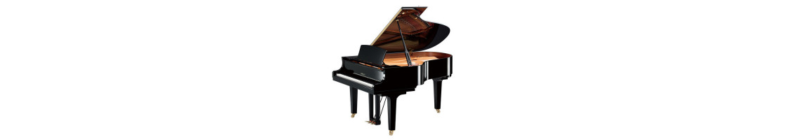 Buy Grand Piano in Dubai, UAE | Buy Grand Piano Online