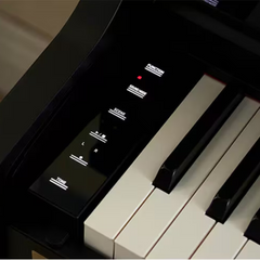 Casio AP-750BK C2 Digital Piano - Black