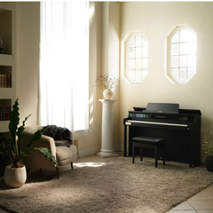 Casio AP-750BK C2 Digital Piano - Black