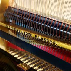 Steinway & Sons Grand piano S-155  (Renewed)