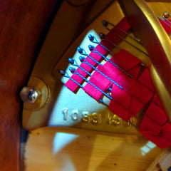 Steinway & Sons Grand piano S-155  (Renewed)
