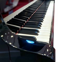 Steinway & Sons Grand piano S-155  (Renewed)